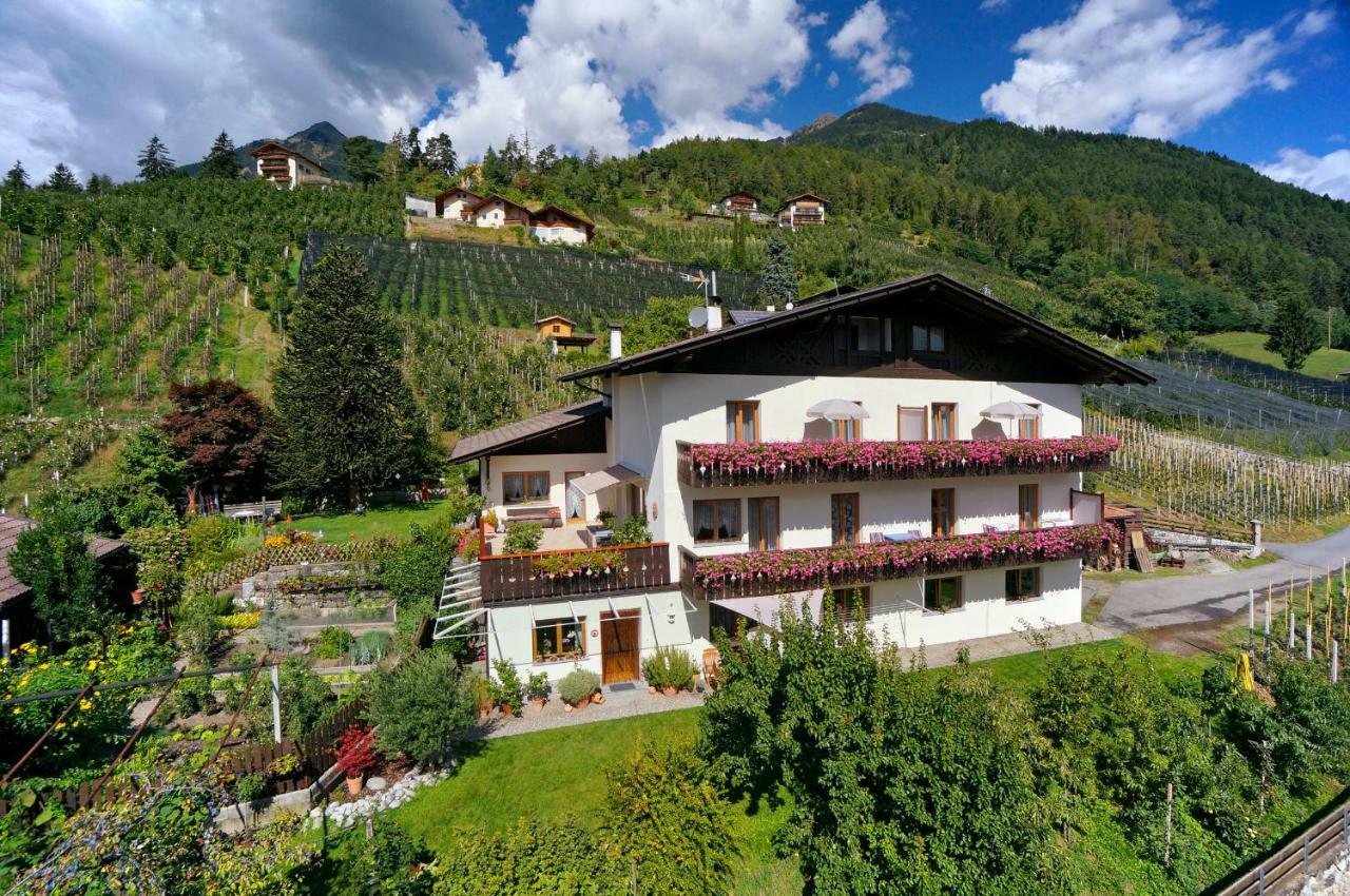 Sonnenhof Apartment